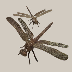 Brass Dragonfly