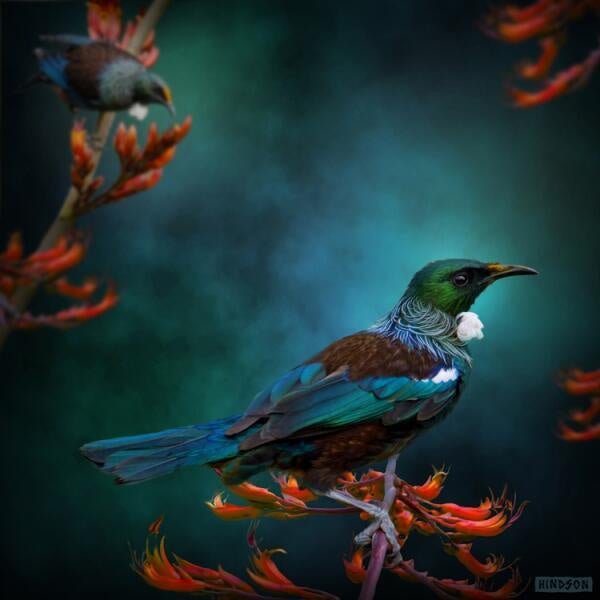 Julian Hindson - Tui Mates Art Print